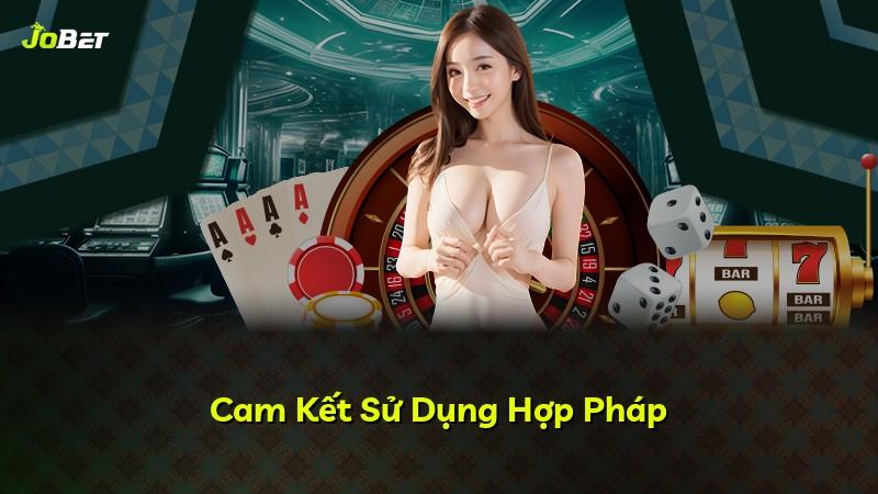 Cam Kết Sử Dụng Hợp Pháp