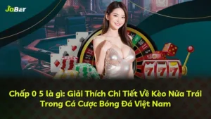 Chấp 0 5 là gì: Giải Thích Chi Tiết Về Kèo Nửa Trái Trong Cá Cược Bóng Đá Việt Nam