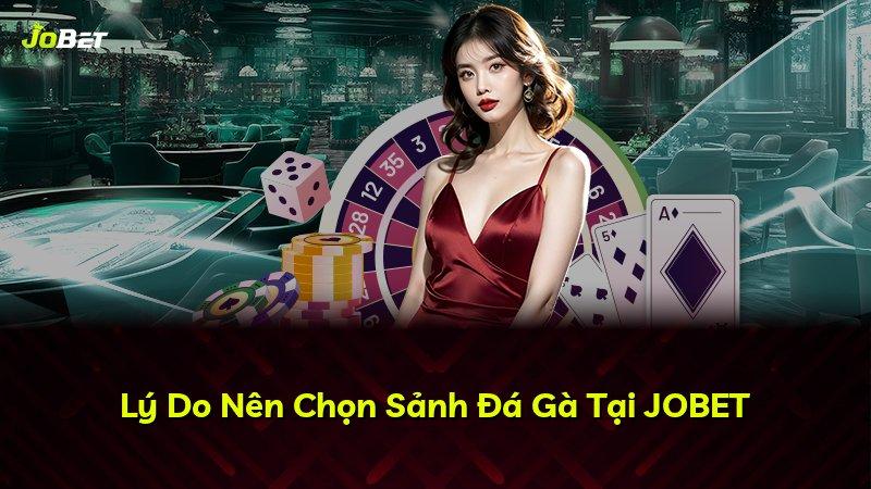Lý Do Nên Chọn Sảnh Đá Gà Tại JOBET