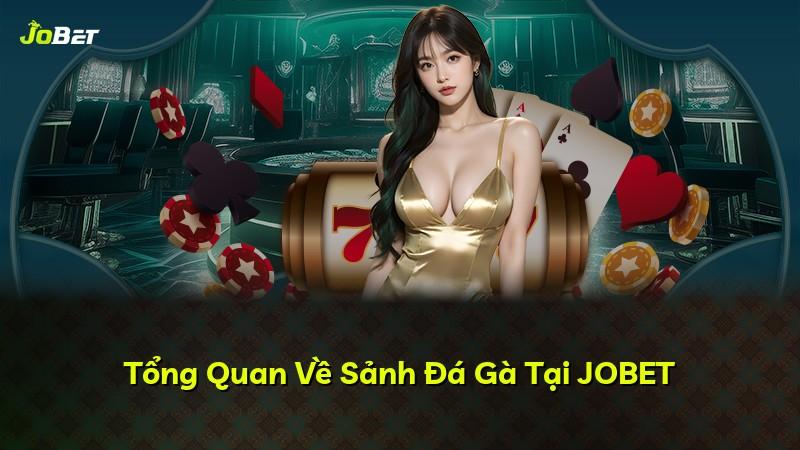 Tổng Quan Về Sảnh Đá Gà Tại JOBET